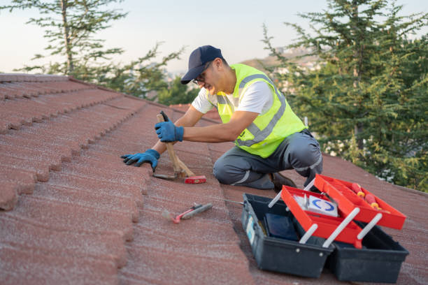 Best Roof Waterproofing Services  in Kemp, TX