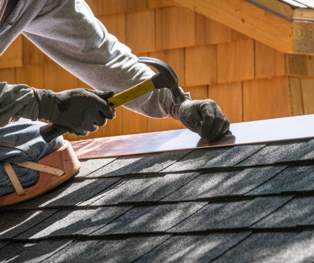 Best Roof Gutter Cleaning  in Kemp, TX